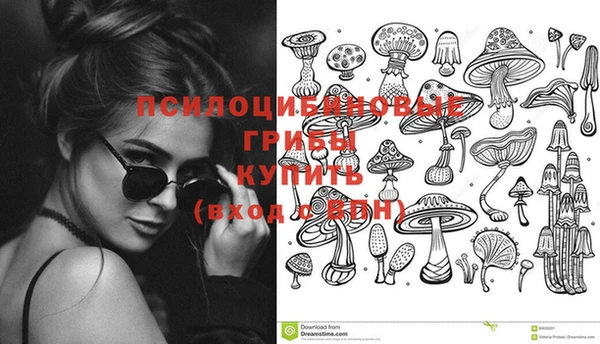 меф Алексин