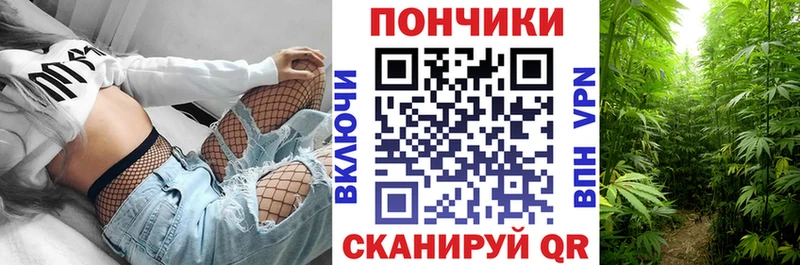 МАРИХУАНА индика  как найти закладки  Камешково 
